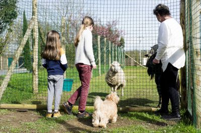 hotel restaurant business vendee 20