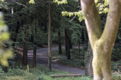 hotel restaurant business vendee 21 1