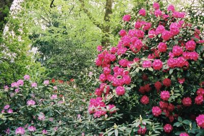 hotel restaurant business vendee 22