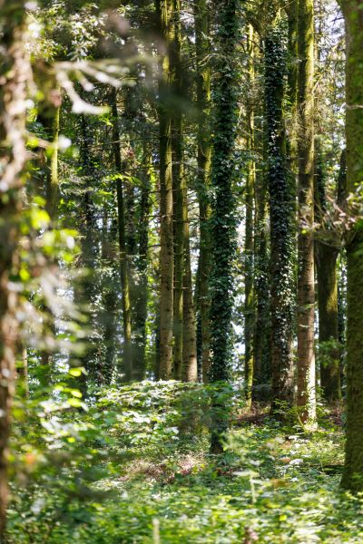 hotel restaurant business vendee 27