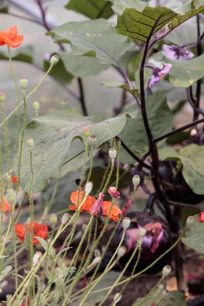 hotel restaurant business vendee 28