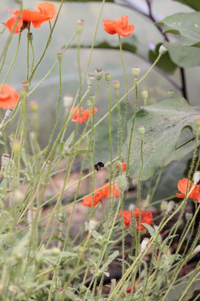 hotel restaurant business vendee 29