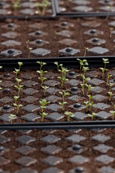 hotel restaurant business vendee 30