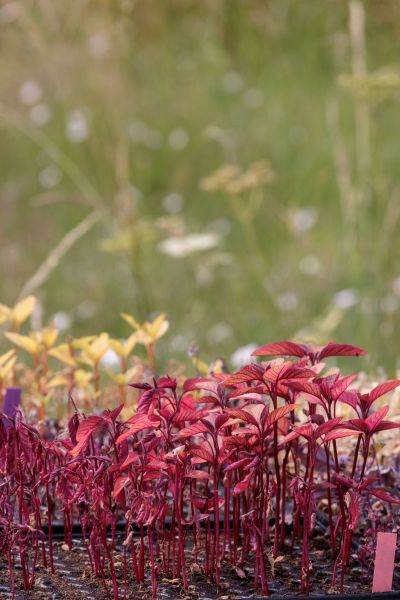 hotel restaurant business vendee 31