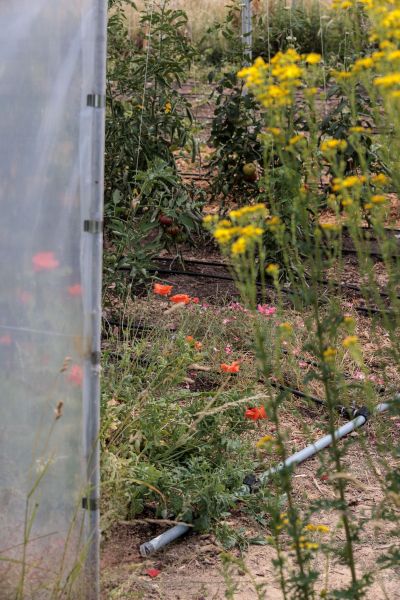 hotel restaurant business vendee 33