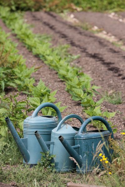 hotel restaurant business vendee 35