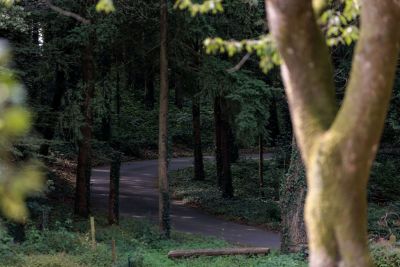 hotel restaurant business vendee 36