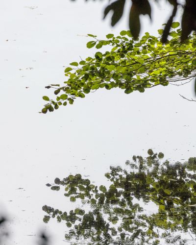 hotel restaurant business vendee 40