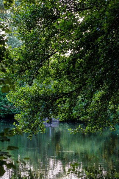 hotel restaurant business vendee 41