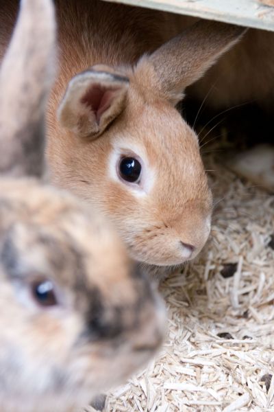 hotel restaurant business vendee 44 1