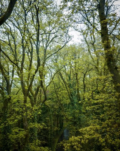 hotel restaurant business vendee 48 1