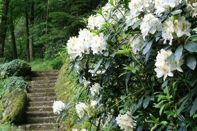 hotel restaurant business vendee 66