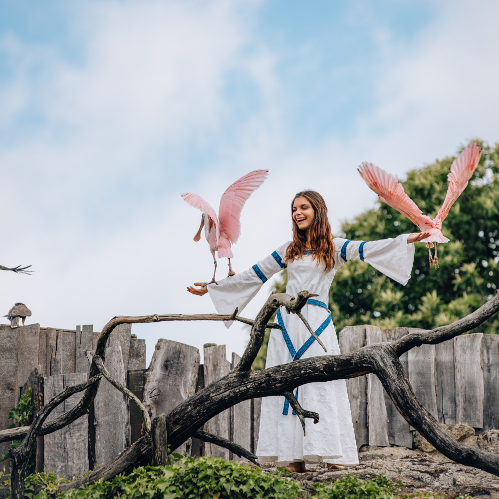 Le Bal des oiseaux, spectacle mythique grand parc du Puy du Fou